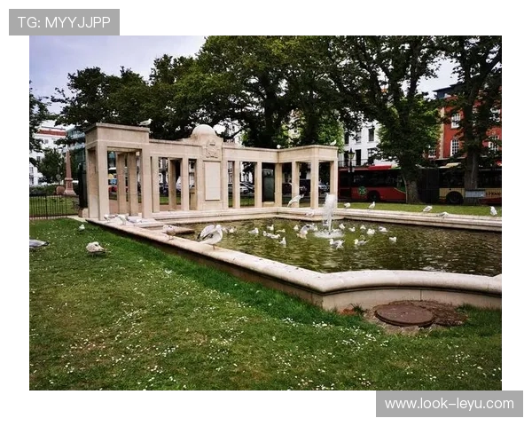 朴茨茅斯足球俱乐部辉煌历史传承与未来发展战略全景深度解析