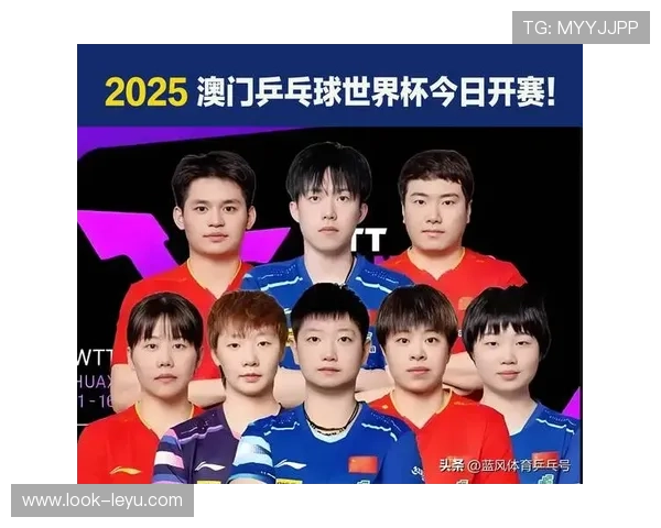 世界杯全程高清直播免费观看让球迷零距离体验赛事精彩